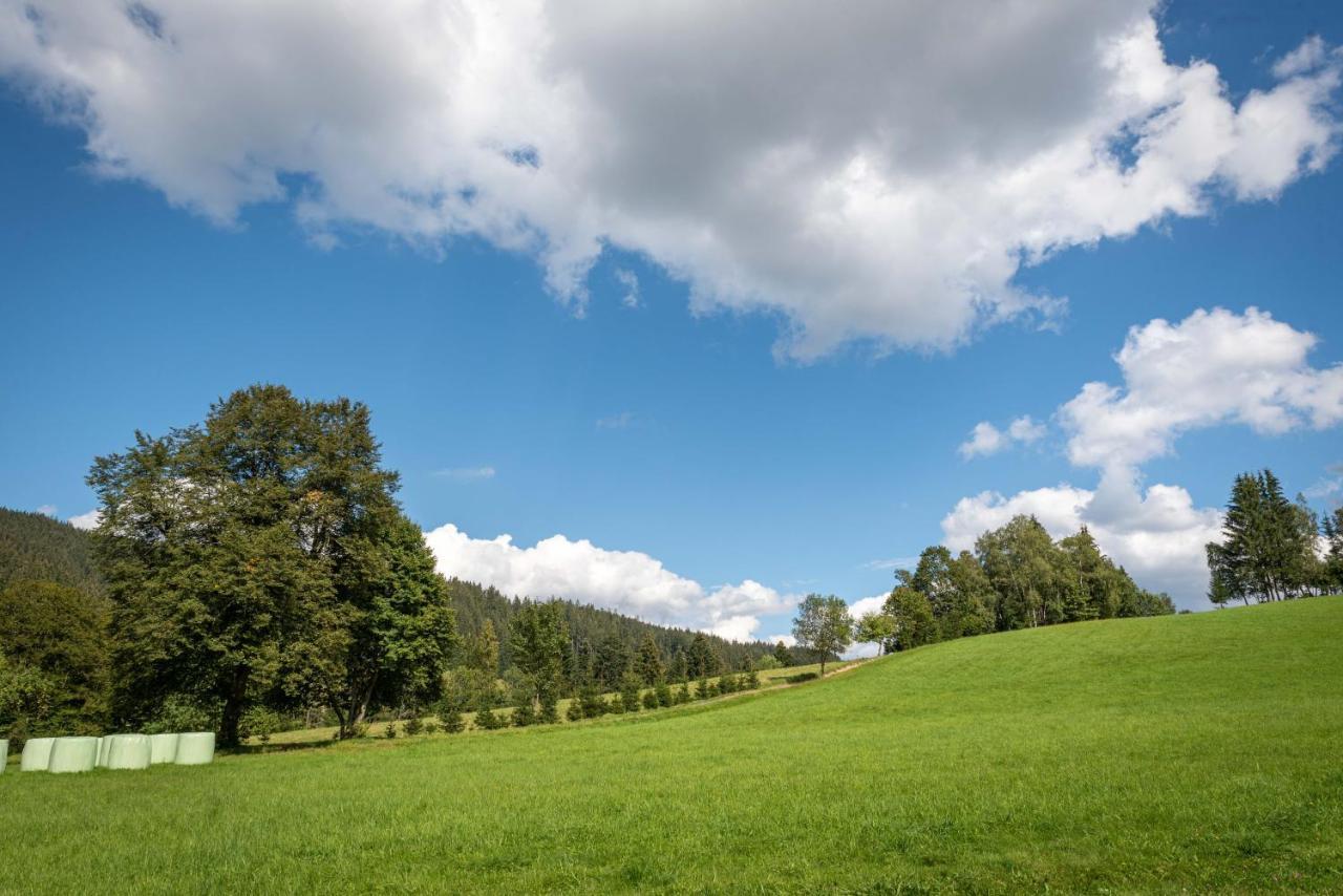 Appartamento U Justina Na Brehu Velké Karlovice Esterno foto